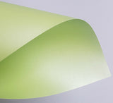 Papel Perolado Liso Verde Claro 20 folhas A4 - 180g - Papel Especial